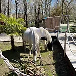 Bed & Breakfast Au Bois Flotté