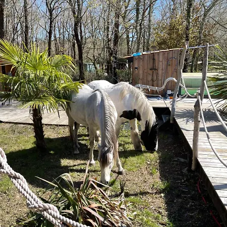 Bed & Breakfast Au Bois Flotte