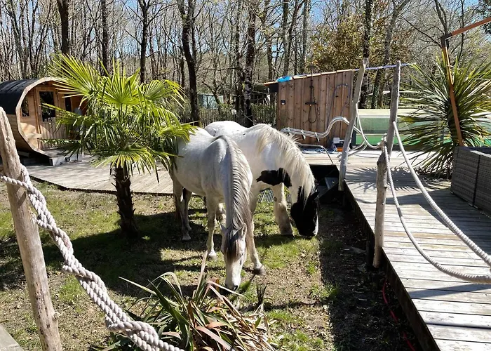 Bed & Breakfast Au Bois Flotte