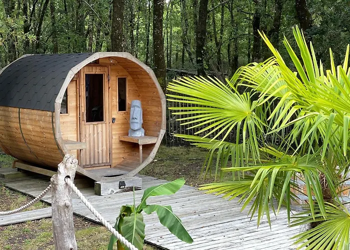 Au Bois Flotte Bed & Breakfast Hourtin