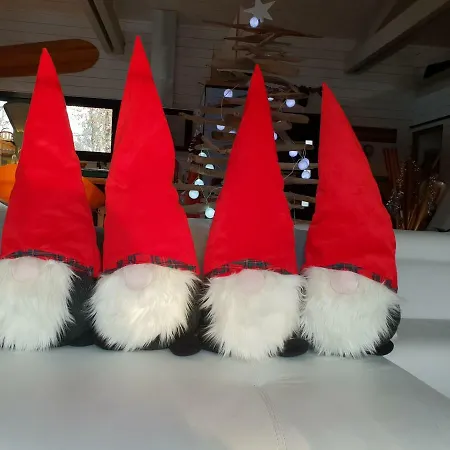 Au Bois Flotte Bed and Breakfast Hourtin